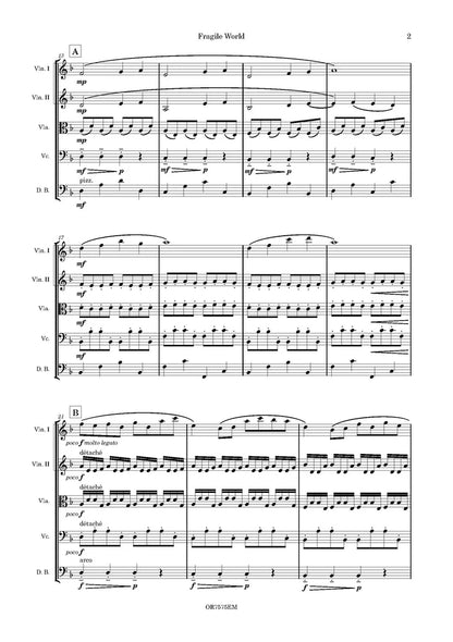 Knockaert - Fragile World for String Orchestra