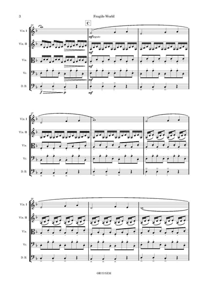 Knockaert - Fragile World for String Orchestra