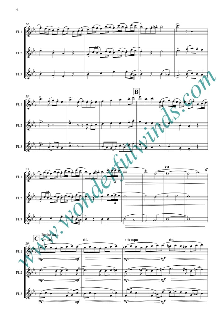 Pecora, P. J. Jr.- The Sailor and The Sea for 3 flutes - Digital Download