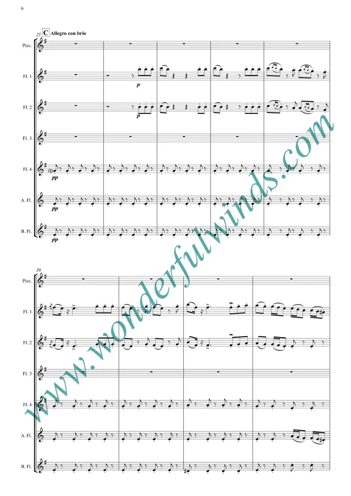 Rossini - Overture - The Barber of Seville (Abridged) for flute choir - Digital Download