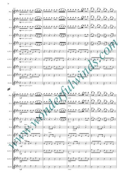 Rossini - Overture - The Barber of Seville for flute Orchestra - Digital Download