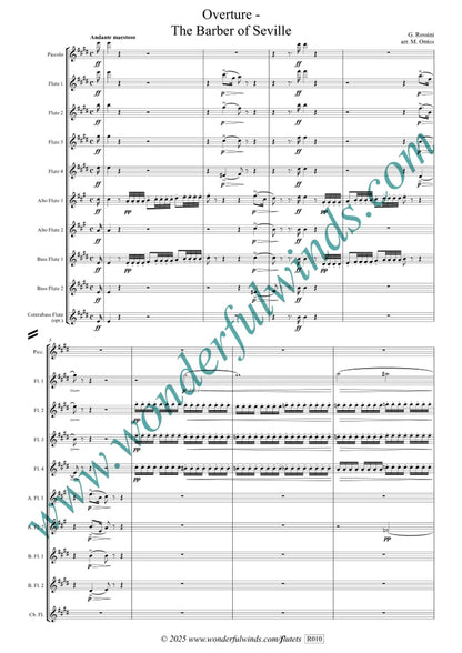 Rossini - Overture - The Barber of Seville for flute Orchestra - Digital Download