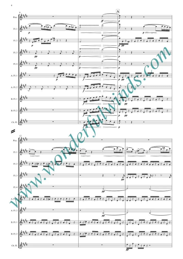 Rossini - Overture - The Barber of Seville for flute Orchestra - Digital Download