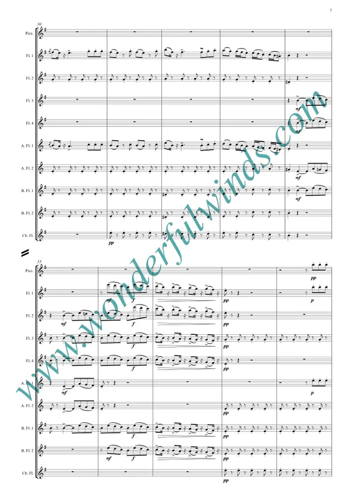 Rossini - Overture - The Barber of Seville for flute Orchestra - Digital Download
