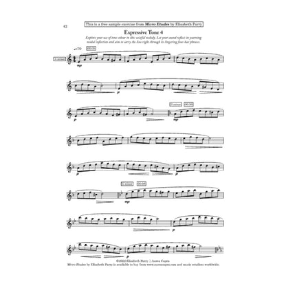 Parry/Alley Micro Etudes for solo flute - Digital Download