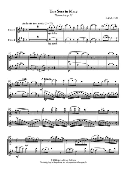 Raffaello Galli  - Two Fantasies for two flutes and piano