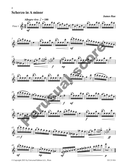 Rae, James - 14 Studies in Duet Form for 2 flutes