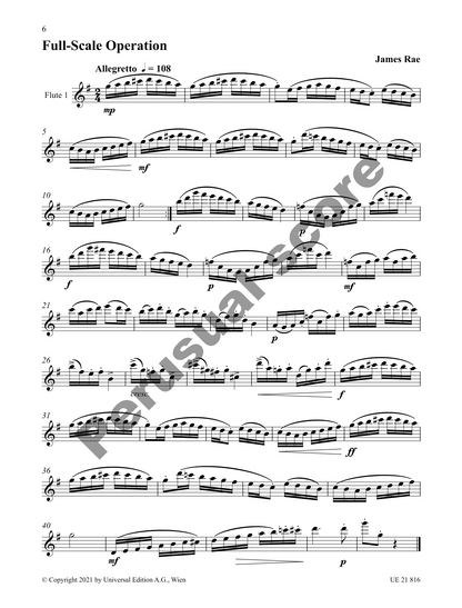 Rae, James - 14 Studies in Duet Form for 2 flutes