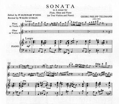 Telemann - Sonata in A minor for Flute, Oboe, and cello