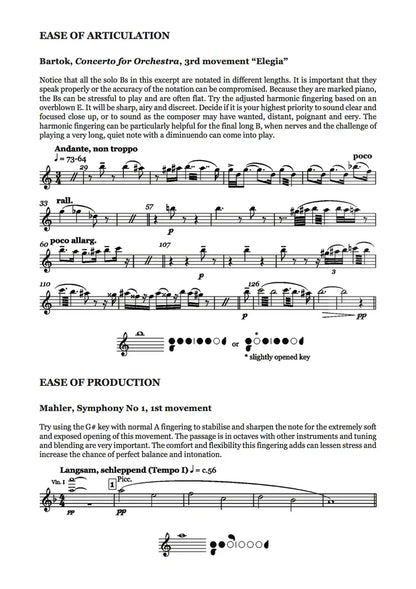 Piccolo: from novice to professional