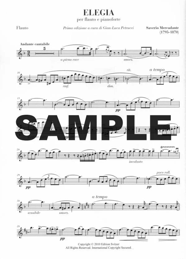 Mercadante - Elegia for flute and piano