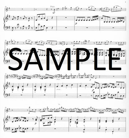 Quantz - Concerto in E minor (IMC)