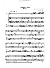 Overtones - A Comprehensive Flute Series: Flute Repertoire 6