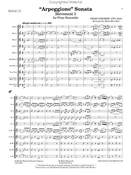Schubert - "Arpeggione" Sonata Movement 1 for flute choir