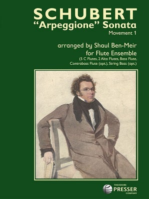 Schubert - "Arpeggione" Sonata Movement 1 for flute choir