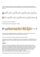 Southworth, Clare  - Flute Reboot