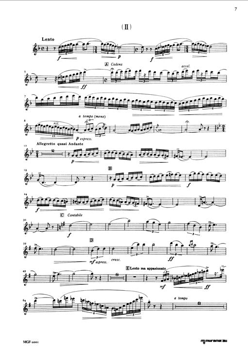 Otaka, Hisatada - Concerto, Op30b