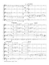 Ravel, Maurice - Alborada del gracioso for Flute Quintet