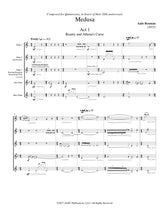 Rozman, Anze - Medusa for Flute Quintet