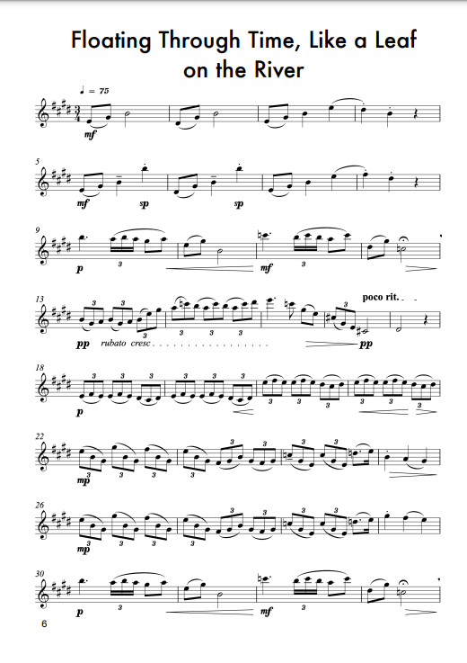 Hankin, Jen - Five short thoughts for solo flute (Digital Download)