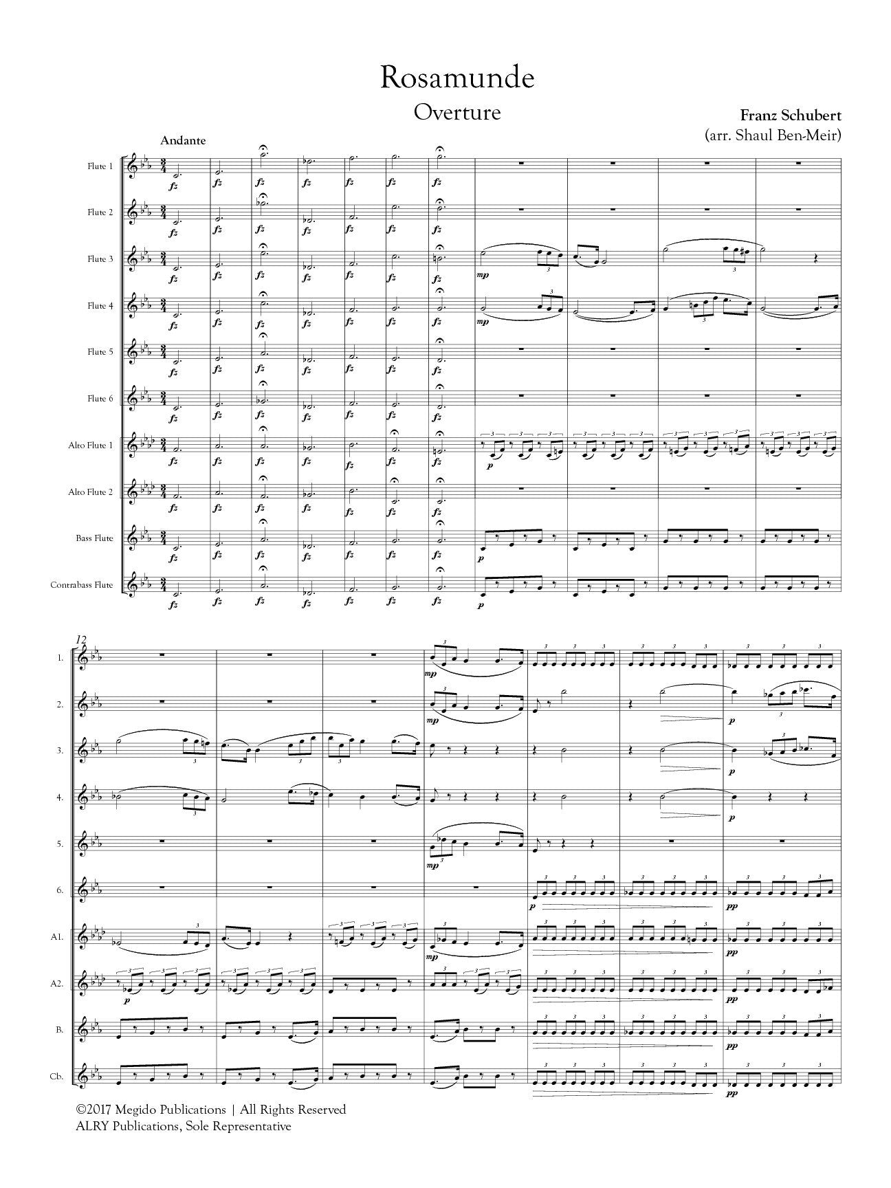 Schubert, Franz - Rosamunde Overture for Flute Orchestra