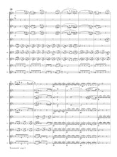 Schubert, Franz - Rosamunde Overture for Flute Orchestra