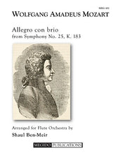 Mozart, Wolfgang Amadeus -Allegro con brio from Symphony No. 25, K. 183 for Flute Orchestra