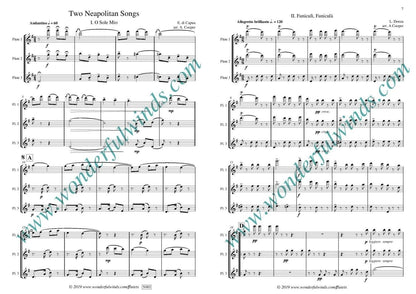 Two Neapolitan Songs - di Capua, E./Denza, L. for 3 flutes