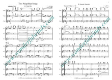 Two Neapolitan Songs - di Capua, E./Denza, L. for 3 flutes
