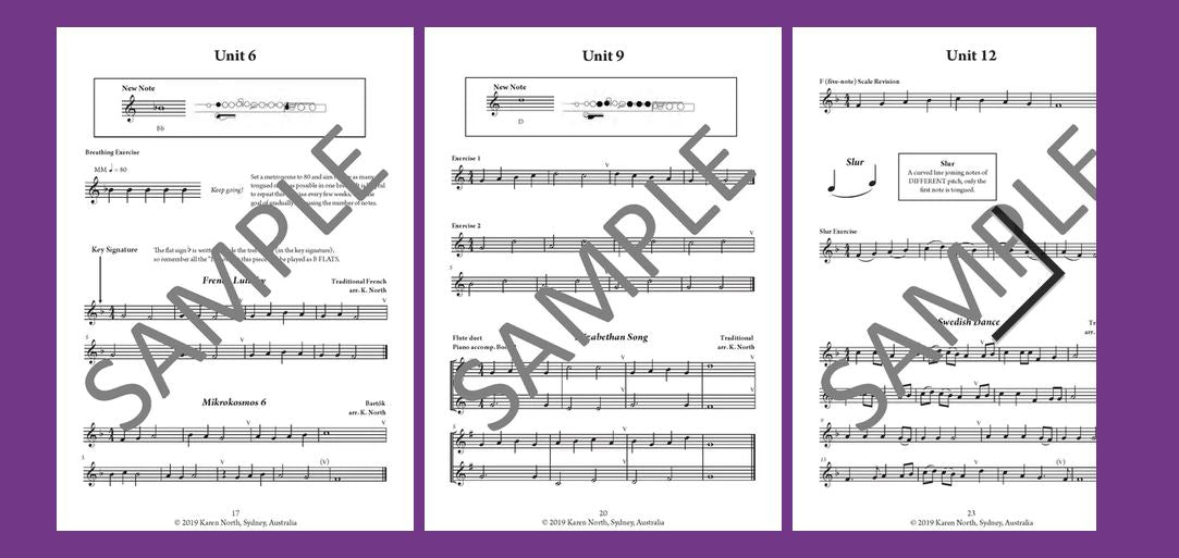 North, Karen - Young Flute Player Book 6 (Instant Download)