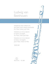 Beethoven Ludwig van	Variations on La ci darem la mano from Don Giovanni (WoO 28).