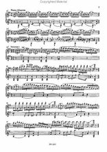 Molique B - Duo Concertante for flute and violin